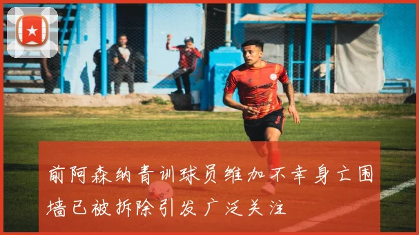 前阿森纳青训球员维加不幸身亡围墙已被拆除引发广泛关注
