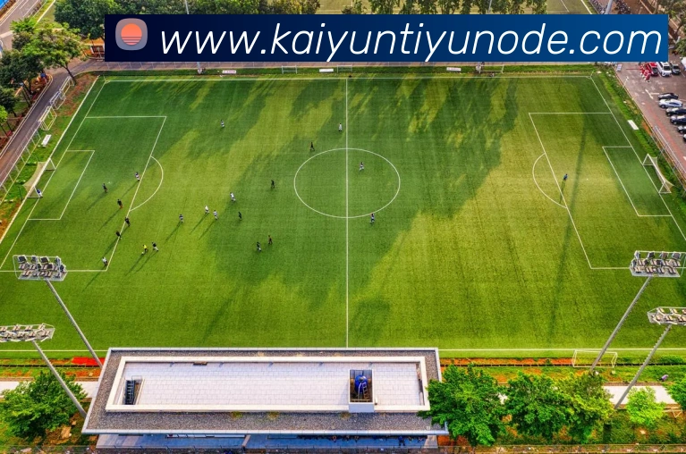 数据防护可视化